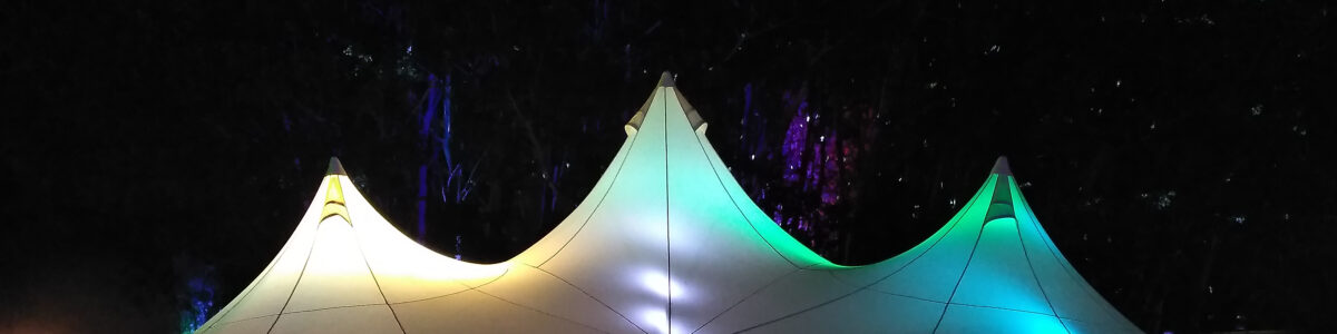 Auf Haecks und Nieren